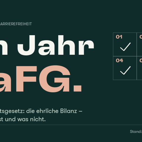 Dunkelgrüne Grafik mit der Aufschrift „Ein Jahr BaFG“ und einem Raster aus sechs Kacheln, von denen drei abgehakt sind