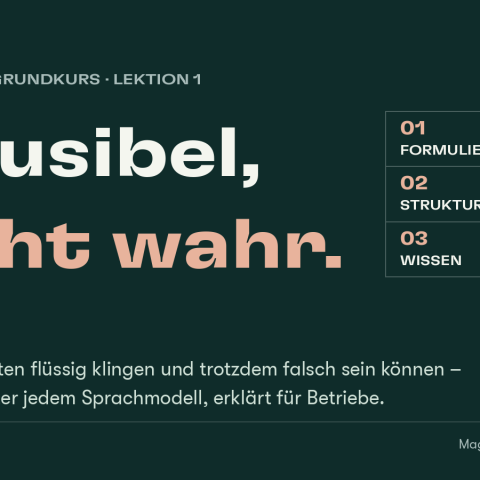 Dunkelgrüne Grafik mit der Aufschrift „Plausibel, nicht wahr“ und einer Liste aus drei Fähigkeiten: Formulieren und Strukturieren sind abgehakt, Wissen nicht